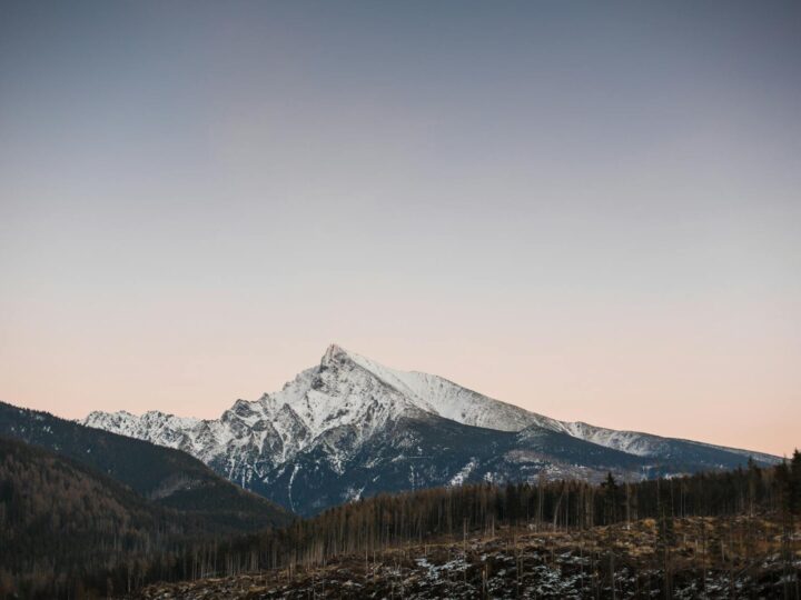 Парк Брамкот Хллс
